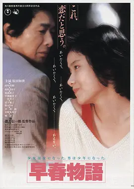 片目海报